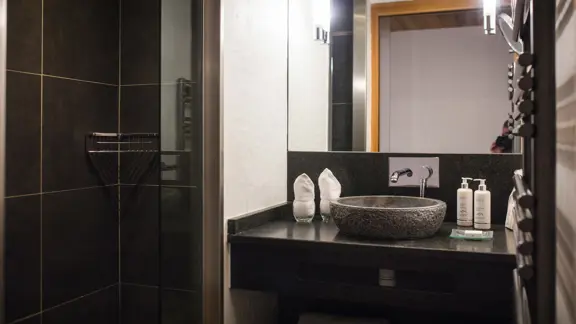 Privilege suite shower room