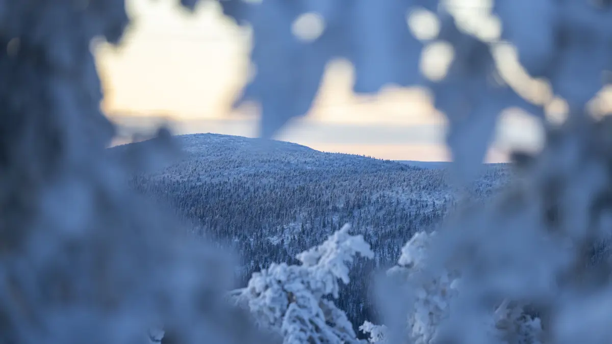 Guide Lapland Climate Of Lapland 3