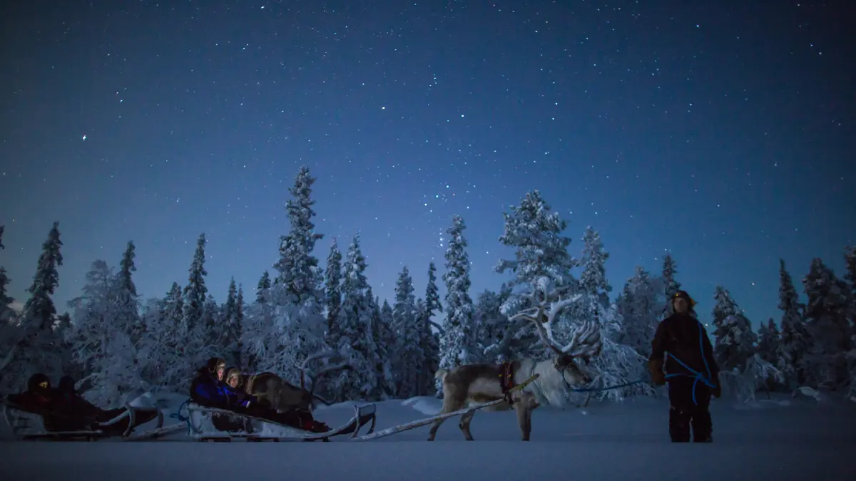 Guide Lapland True Or False 3.