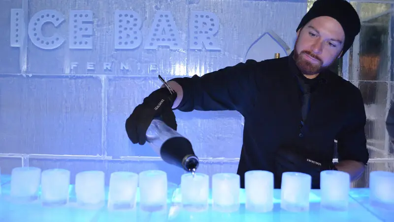 Lapland Excursion Icebar