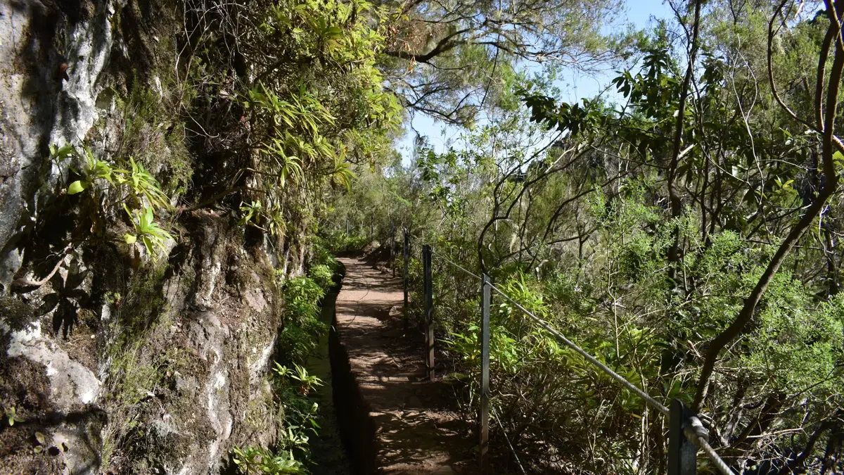 Canico Caldeiro Verde Guided Walk