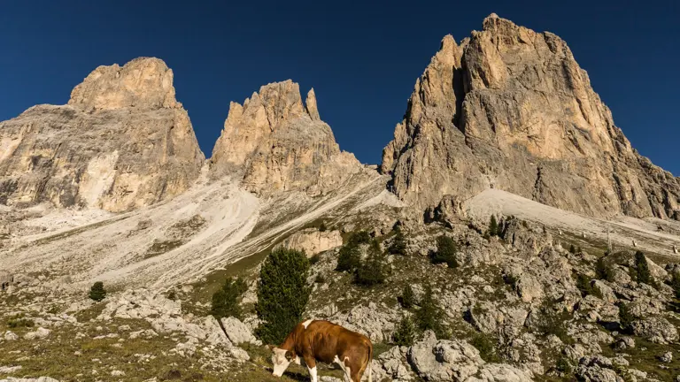 A scenic view of a landscape