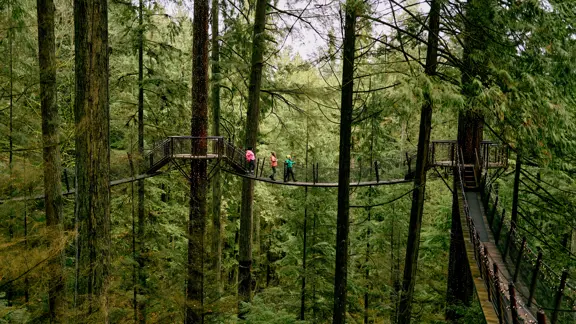 Capilano Suspension Bridge © Destination Vancouver