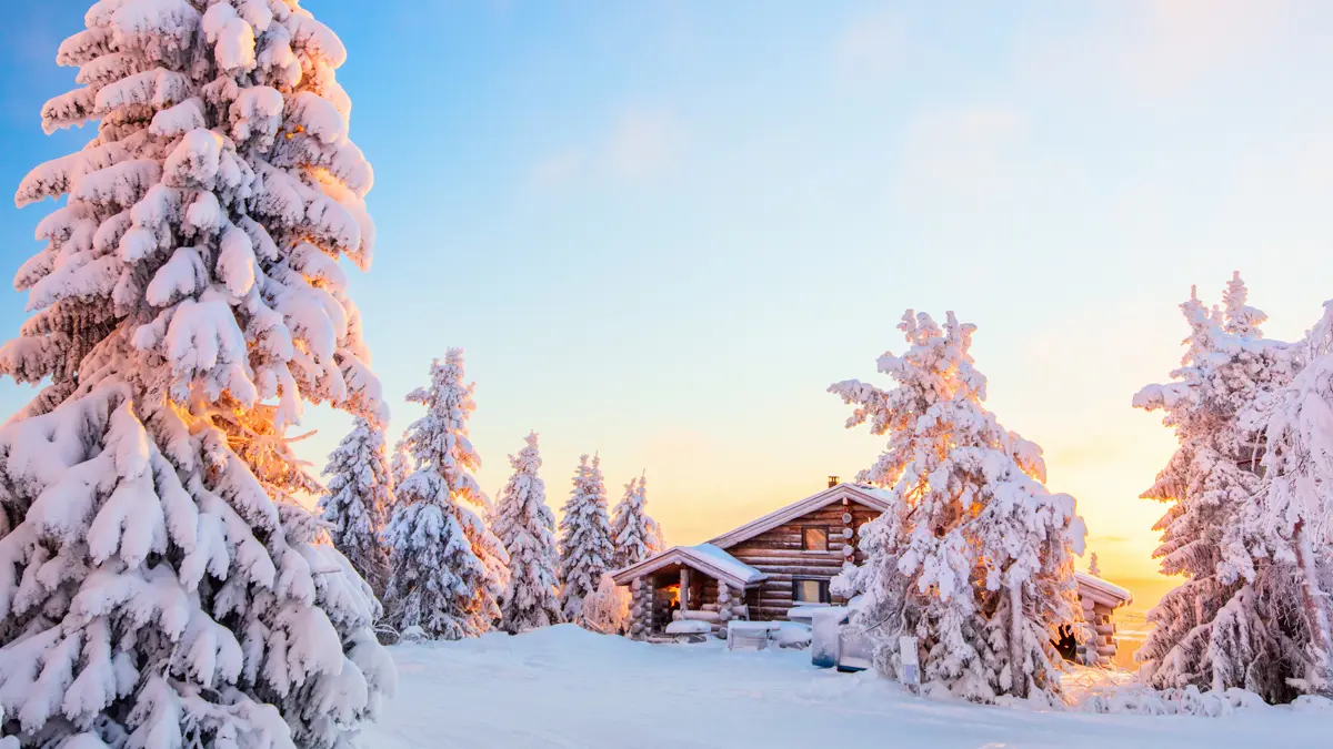 Snow Lapland
