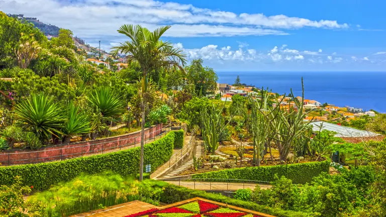 A scenic view of a landscape