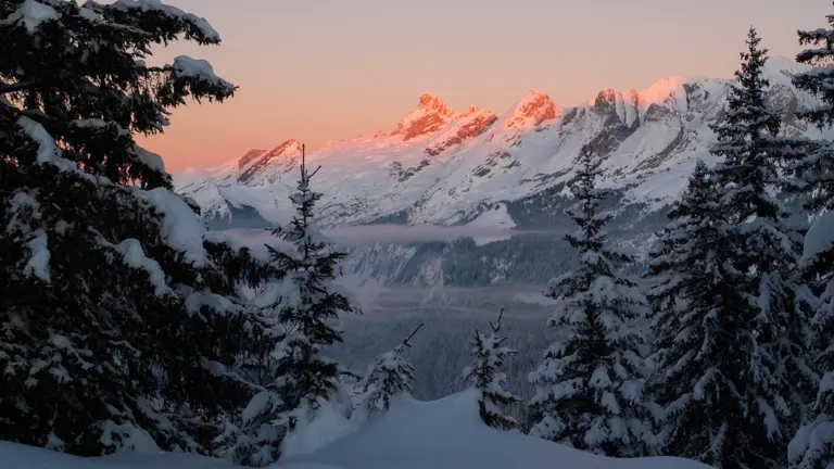 A scenic view of a landscape