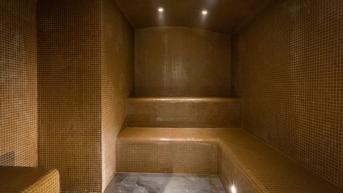 Hotel Alpina Chamonix Steam Room