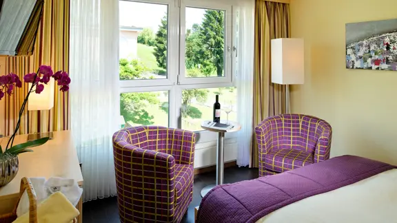 Standard single room 