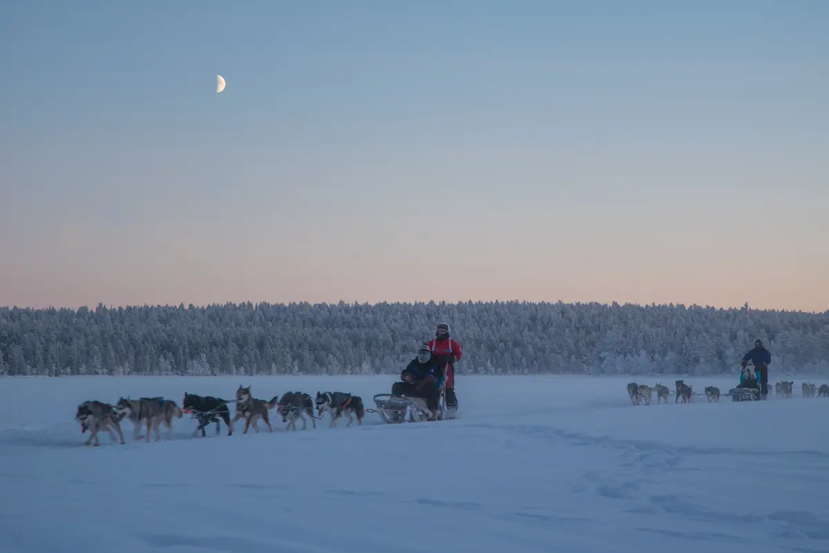 Muonio Finland Husky Tour 4