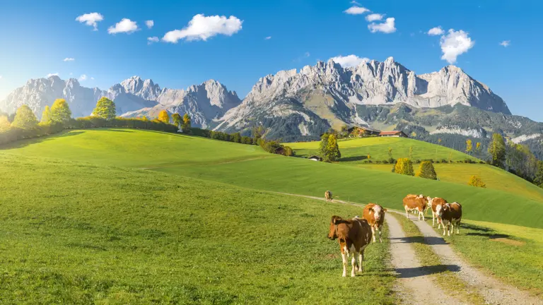 A scenic view of a landscape