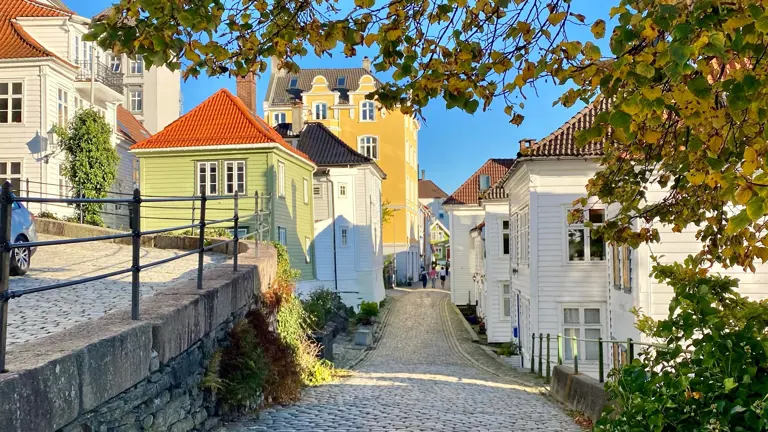 A scenic view of a landscape