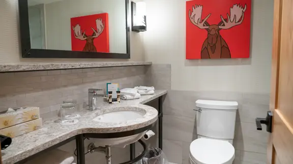 Superior room bathroom