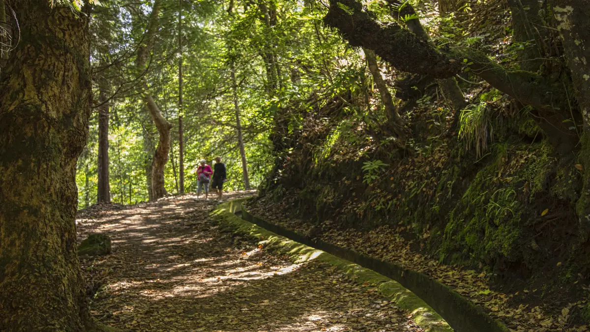 Madeira Guided Walk