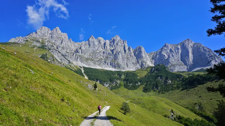 A scenic view of a landscape