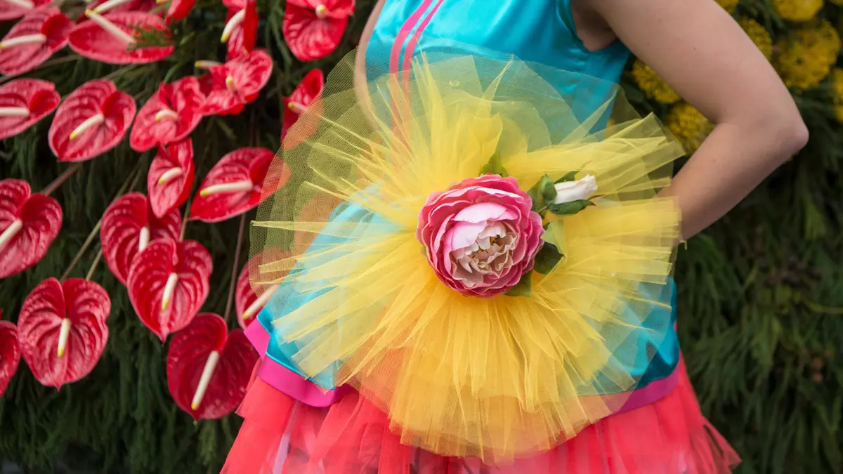 Madeira Funchal Flower Festival