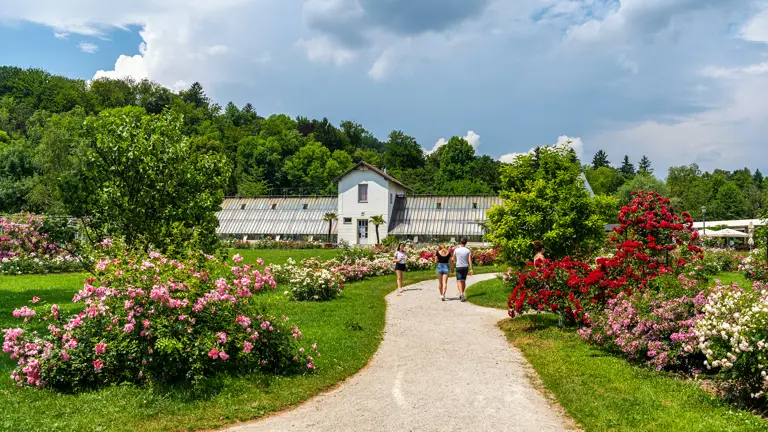 A scenic view of a landscape
