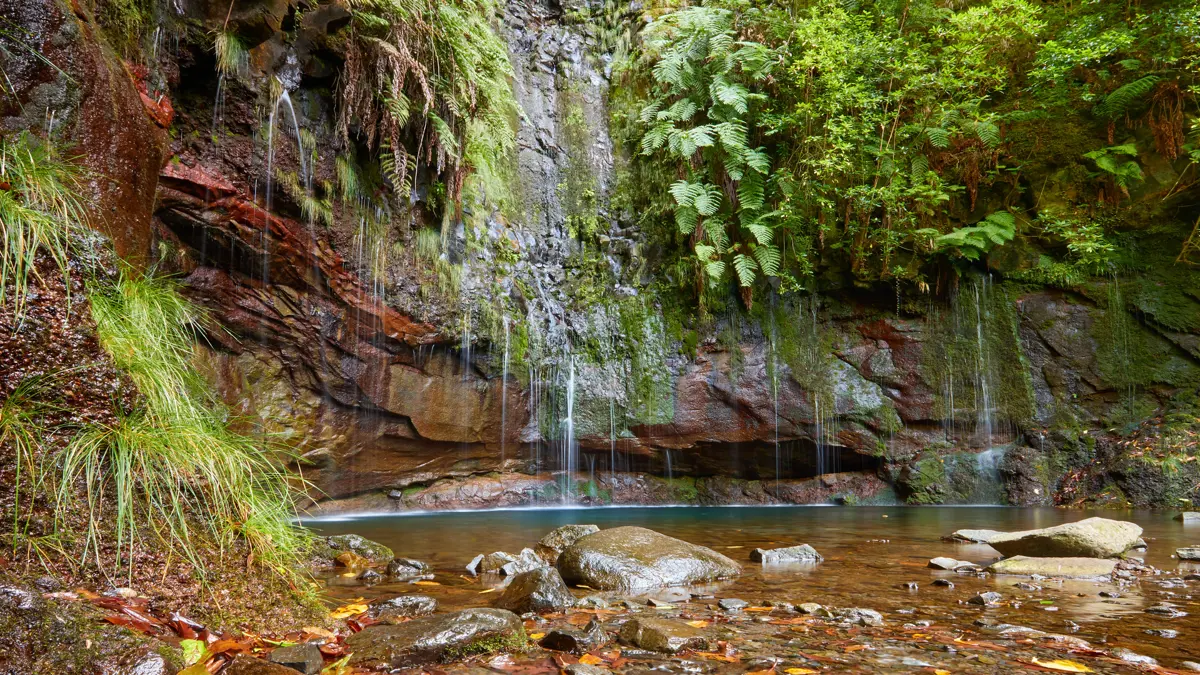 Rabaça And The 25 Fontes, Madeira