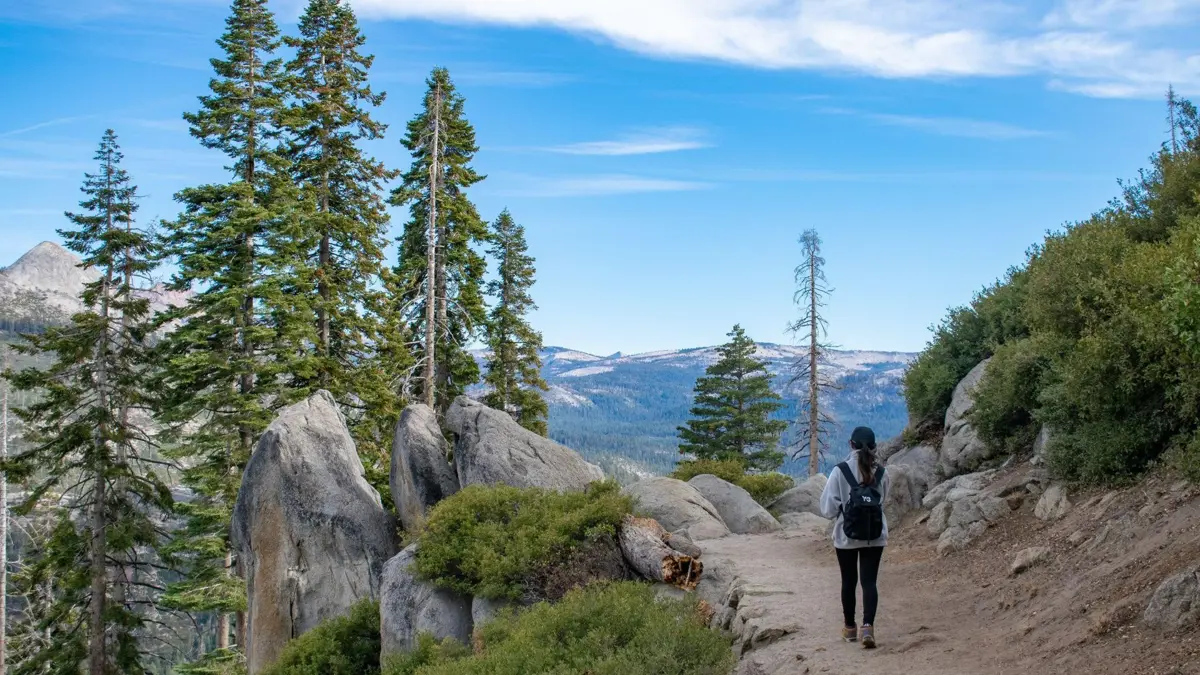 Walking Report Header