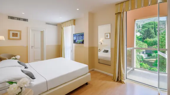 Prestige room with park view