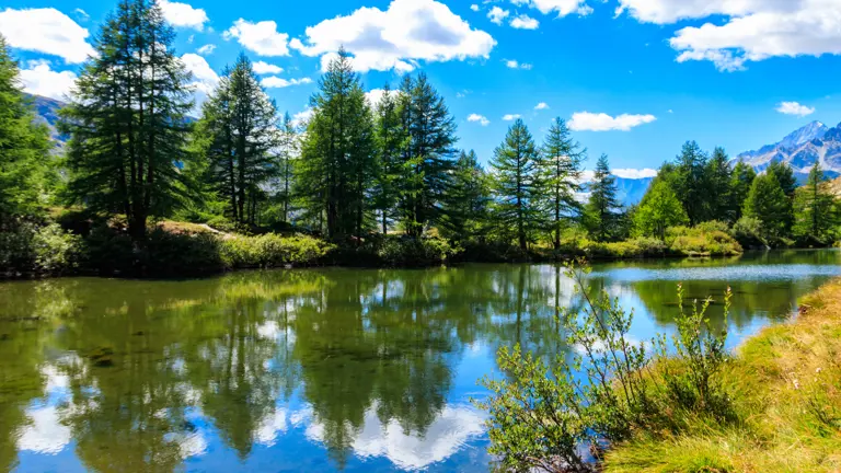 A scenic view of a landscape