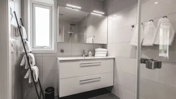 Typical shower room