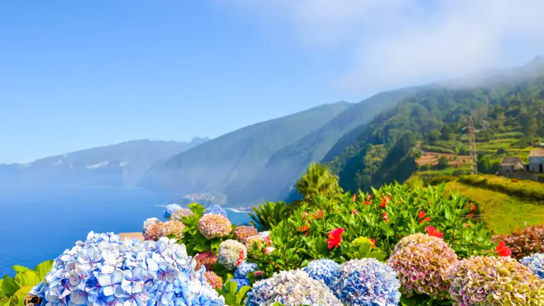 A scenic view of a landscape