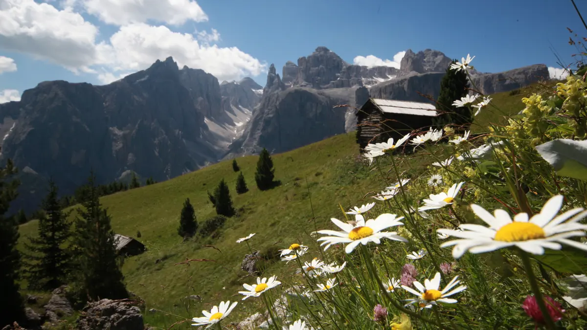 Corvara Colfosco Alta Badia Val De Misde And The Sella Group Freddy Planinschek 1