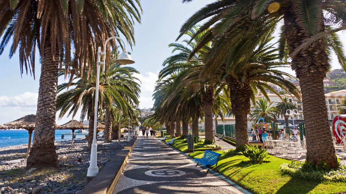Madeira Promenade Street In Santa Cruz Town