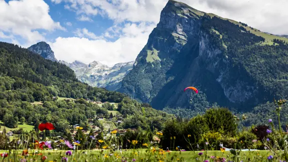 Samoens Mountain Views