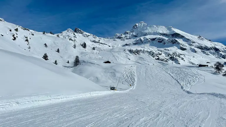 A scenic view of a landscape