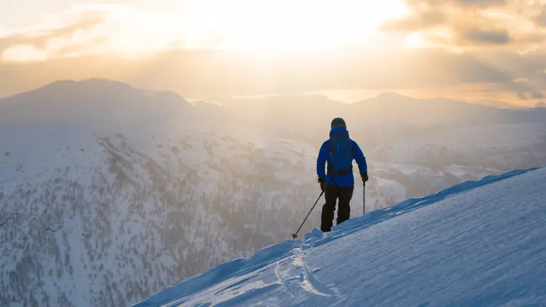 A scenic view of a landscape