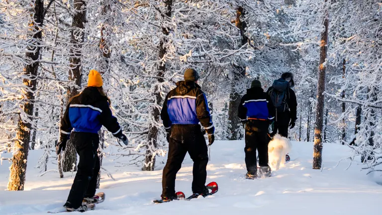 A scenic view of a landscape