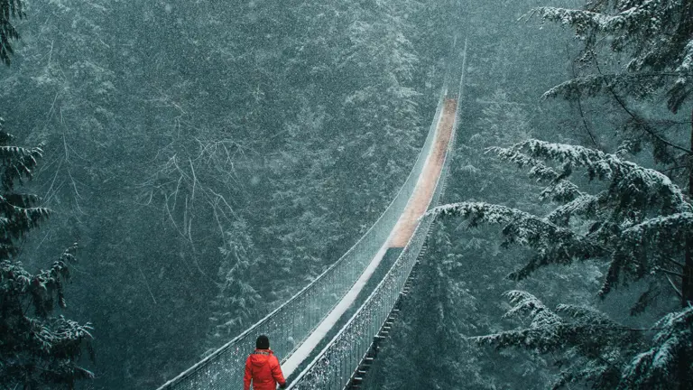 A scenic view of a landscape