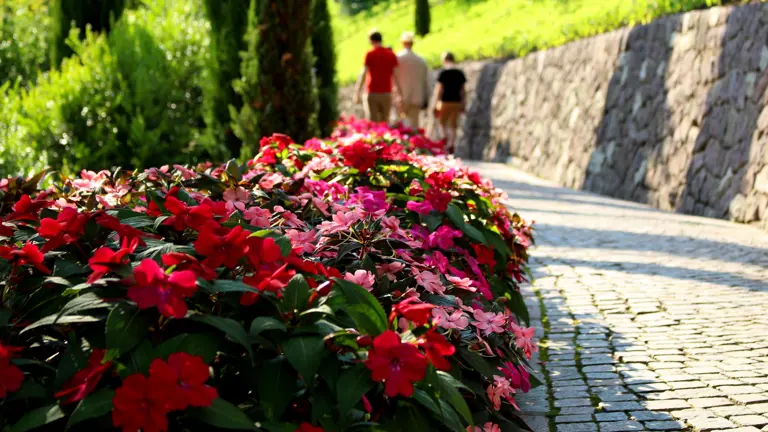 A scenic view of a landscape