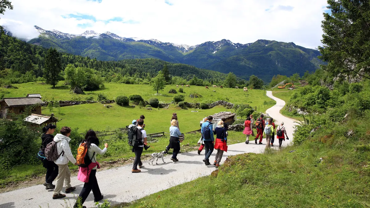 Lake Bohinj walkers