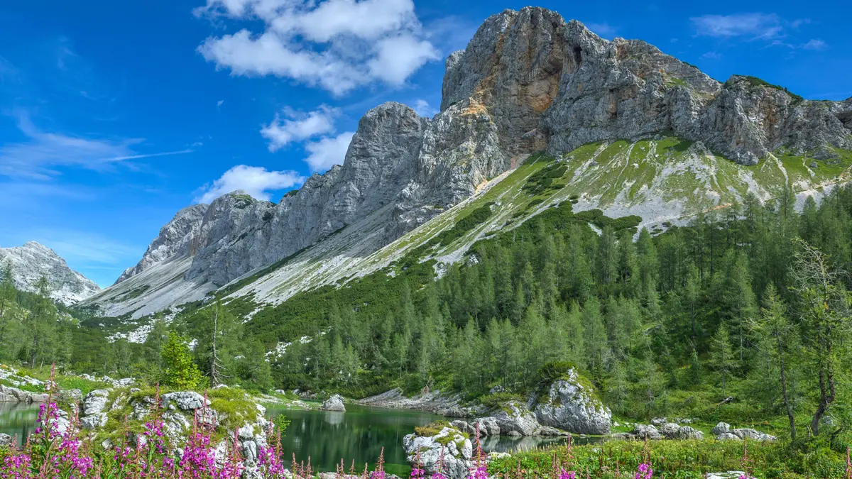 Triglav National Park