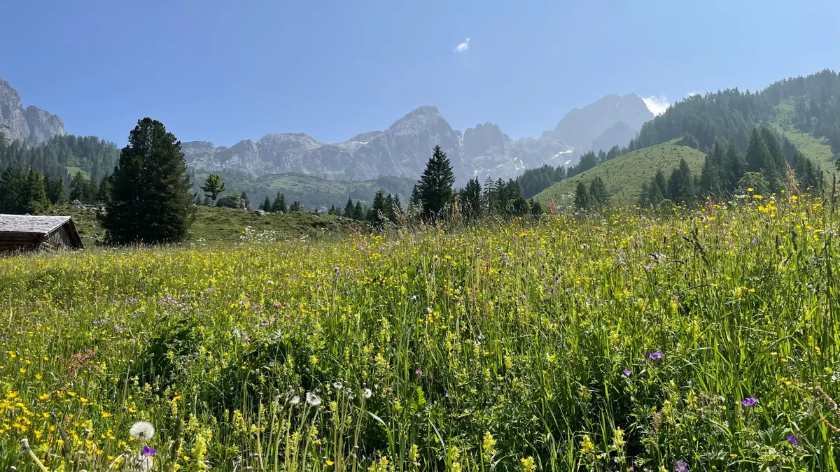 Queens Walk Königinnen Runde 6