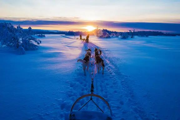 Saariselka Finland Star Arctic Husky Sledding