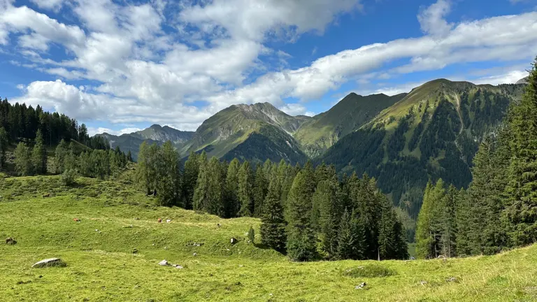 A scenic view of a landscape