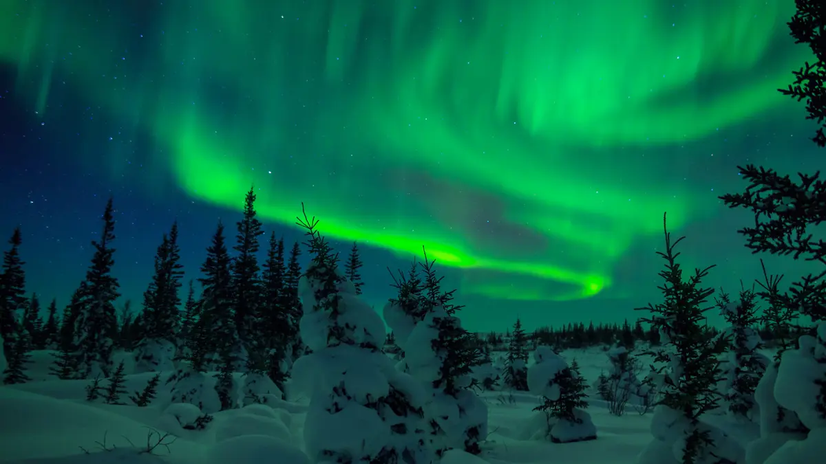 Guide Lapland Lapland True Or False