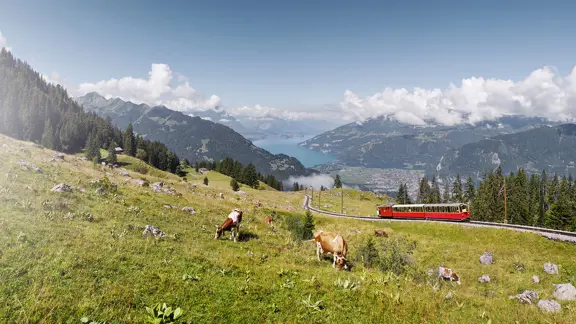 Schynige Platte railway in the Bernese Oberland