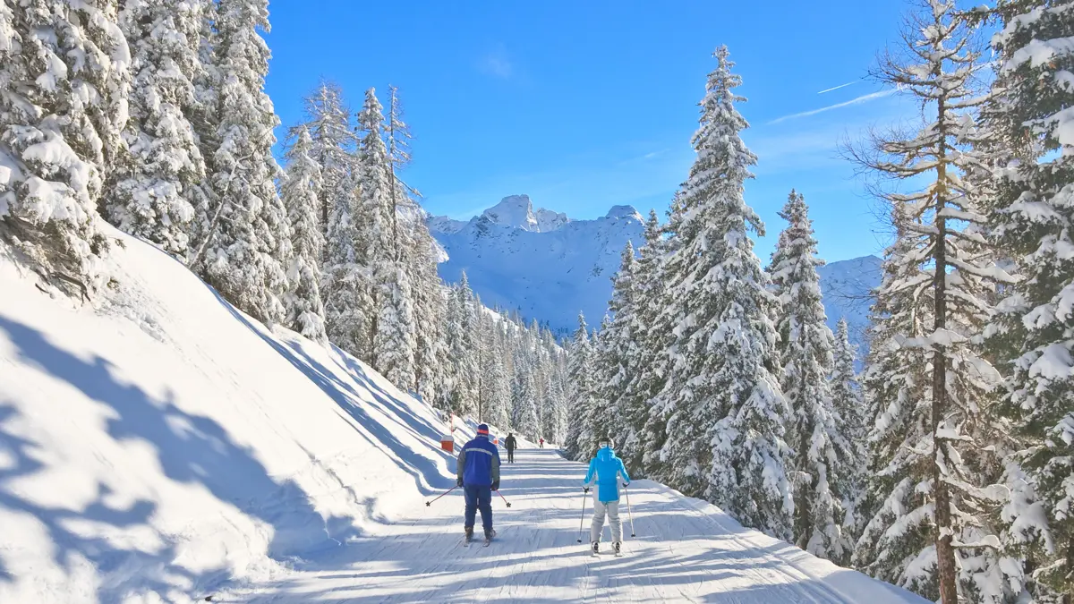 Guide Ski Ski Touring