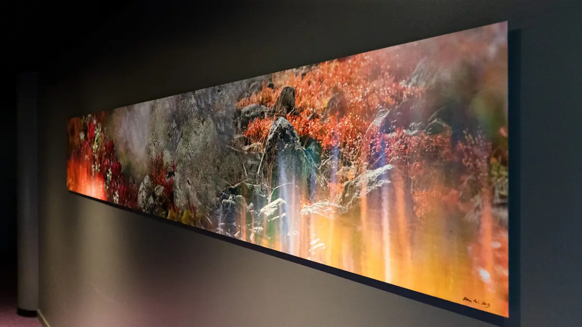 Design Hotel Levi Artwork