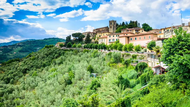 A scenic view of a landscape