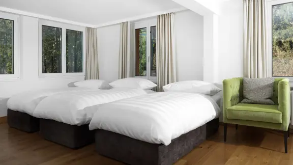 Forest side family room