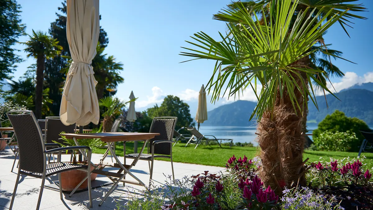 Hotel Alexander Weggis Garden 2