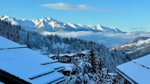 Chalet Jardin Alpin La Tania Snowy View 2