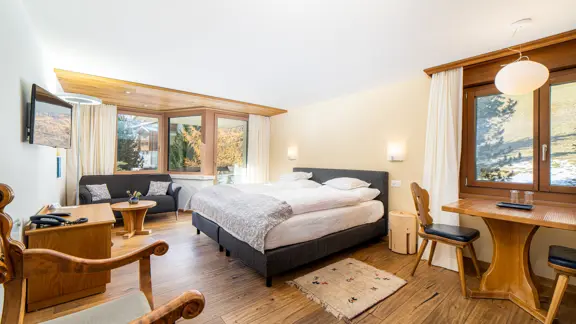 Classic twin or double room