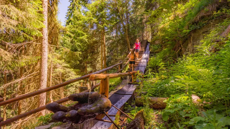 A scenic view of a landscape