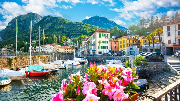 Old Harbour with Boats